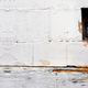 Image for article titled Forget Schrödinger's Cat: The Latest Quantum Puzzle Is About Three Pigeons in Two Holes
